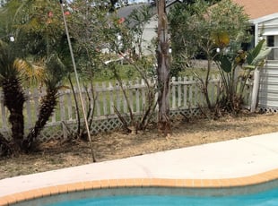 Chrysoula V.'s Landscaping service in Mpm Landscaping Inc