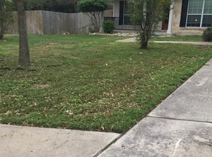 1 Penfield Ny Lawn Care Service Lawn Mowing From 19 Best 2021