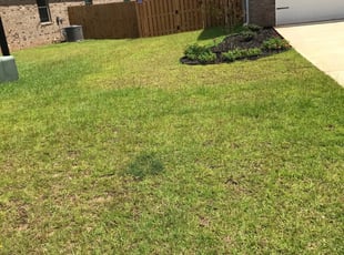 affordable lawn care pensacola fl