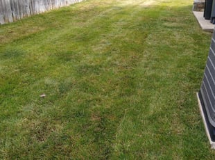 1 Philadelphia Pa Lawn Care Service Lawn Mowing From 19 Best 2021 1 Philadelphia Pa Lawn Care Service Lawn Mowing From 19 Best 2021