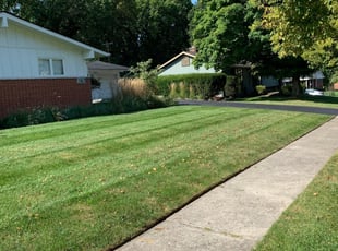 Pikesville Md Lawn Care Service, Andrews Landscaping Frederick Md