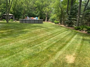 Pittsburgh Pa Lawn Care Lawn Mowing From 19 Lawnstarter