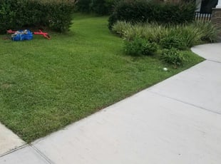 Plano Tx Landscaping From 29 1 Landscapers Best Of 2021