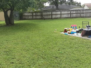 Plano Tx Landscaping From 29 1 Landscapers Best Of 2021