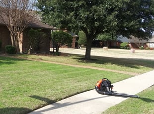 Plano Tx Lawn Care Service Lawn Mowing From 18 Best Of 21