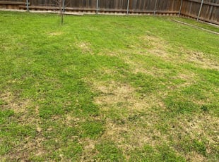 Plano Tx Lawn Care Service Lawn Mowing From 18 Best Of 21