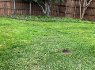 Plano Tx Lawn Care Service Lawn Mowing From 18 Best Of 21
