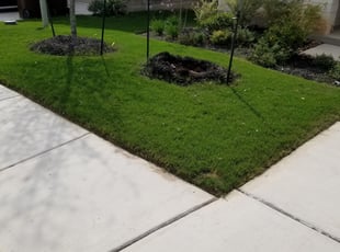 Plano Tx Lawn Care Service Lawn Mowing From 18 Best Of 21