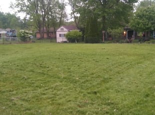 Plant city lawn care services