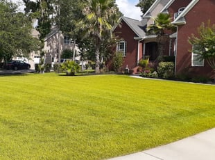 Plymouth Mi Lawn Care Service Lawn Mowing From 19 Rated Best 2021