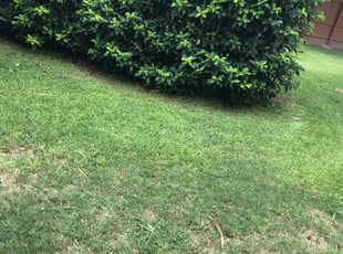 Modibo K.'s Lawn Mowing service in Green Experts