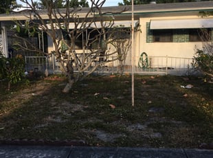 Thaddeus P.'s Yard Cutting service in Green Experts