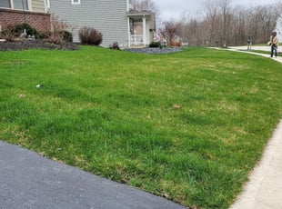 shazeen f.'s Yard Cutting service in Christian's Lawns Treeatment & Lawnscap