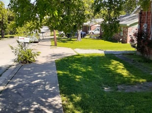 Derrick M.'s Lawn Mowing service in Christian's Lawns Treeatment & Lawnscap