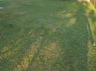 Crystal M.'s Lawn Mowing service in Green Experts