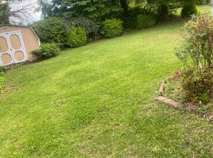 Ponte Vedra Beach Fl Lawn Care Service Lawn Mowing From 19 Lawnstarter