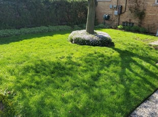 Pueblo Co Landscaping From 29 1 Landscapers Best Of 2021