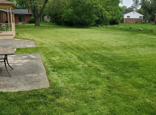 1 Quincy Fl Lawn Care Service Lawn Mowing From 19 Best 2021
