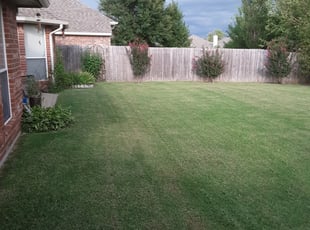 Quincy Ma Lawn Care Service Lawn Mowing From 19 Rated Best 2020
