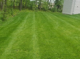 Landscaping Jobs Near Me Phone Number