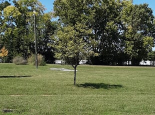 1 Ridgecrest Ca Lawn Care Service Lawn Mowing From 19 Best 2021 Find your next apartment in ridgecrest ca on zillow. 1 ridgecrest ca lawn care service