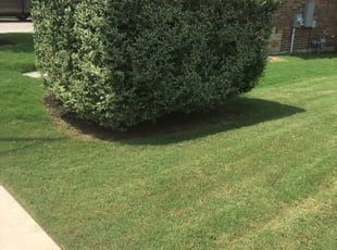 1 Ridgecrest Ca Lawn Care Service Lawn Mowing From 19 Best 2021
