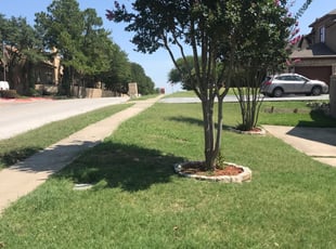 Riverdale Ga Lawn Care Service Lawn Mowing From 19 Rated Best 2021