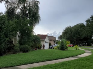 Riverdale Ga Lawn Care Service Lawn Mowing From 19 Rated Best 2021