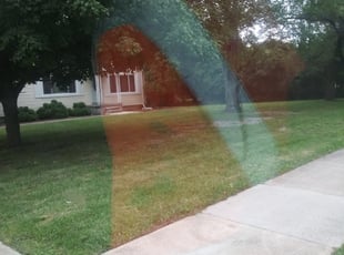 Riverdale Ga Lawn Care Service Lawn Mowing From 19 Rated Best 2021