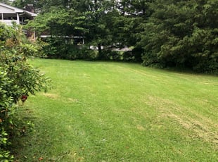 Riverdale Md Landscaping From 29 1 Landscapers Best Of 2021