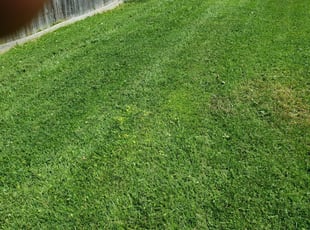 Riverdale Md Landscaping From 29 1 Landscapers Best Of 2021