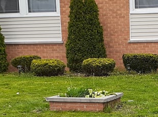 1 Rochester Mi Lawn Care Service Lawn Mowing From 19 Best 2021
