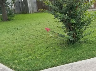 #1 Rochester, NH Lawn Care Service | Lawn Mowing from $19 ...