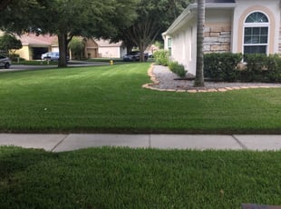 Rockledge Fl Landscaping From 29 1 Landscapers Best Of 2021