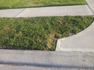 1 Rosenberg Tx Lawn Care Service Lawn Mowing From 19 Best 2021