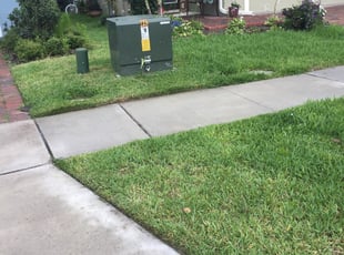 Rosharon Tx Lawn Care Service Lawn Mowing From 19 Rated Best 2021 Rosharon Tx Lawn Care Service Lawn Mowing From 19 Rated Best 2021
