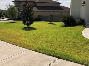 1 Rowlett Tx Lawn Care Service Lawn Mowing From 19 Best 2021