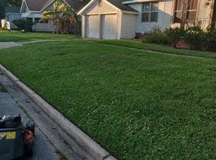 1 Sacramento Ca Lawn Care Service Lawn Mowing From 19 Best 2021