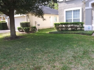1 Saint Cloud Fl Lawn Care Service Lawn Mowing From 19 Best 2021