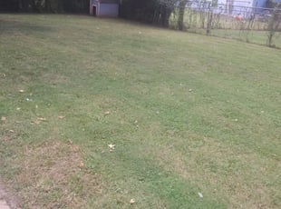 Saint Peters Mo Lawn Care Service Lawn Mowing From 19 Rated Best 2021