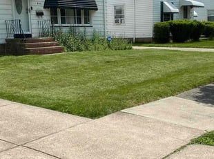 Saint Peters, MO Lawn Care Service | Lawn Mowing from $19 ...