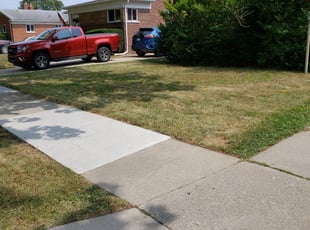 Saint Petersburg Fl Landscaping From 29 1 Landscapers Best Of 2021