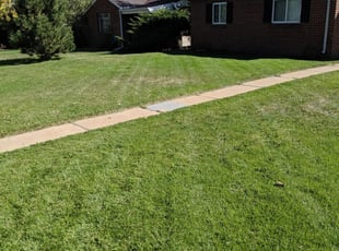 1 San Antonio Tx Lawn Care Service Lawn Mowing From 19 Best 2021