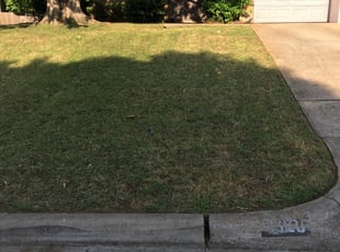 San Bernardino Ca Landscaping From 29 1 Landscapers Best Of 2021