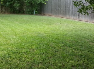 San Marcos Tx Landscaping From 29, Clc Landscaping San Marcos Tx