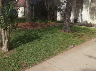 Schenectady Ny Lawn Care Service Lawn Mowing From 19 Rated Best 2021