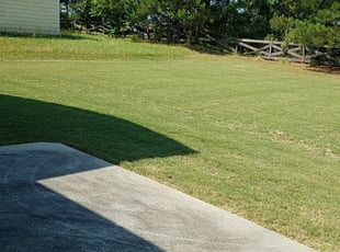 Sharpsburg Ga Lawn Care Service Lawn Mowing From 19 Rated Best 2021