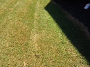 Slidell La Lawn Care Service Lawn Mowing From 19 Rated Best 2021