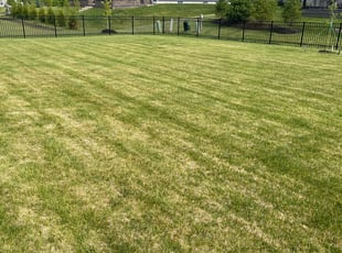 Lawn Care Near Me : Lawn Fertilizer Services Near Me Welcome To Our Blog : Your lawn is a statement about your way of life and you should hire the best since your lawn deserves it.