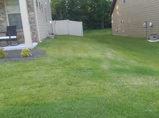 1 Southaven Ms Lawn Care Service Lawn Mowing From 19 Best 2021